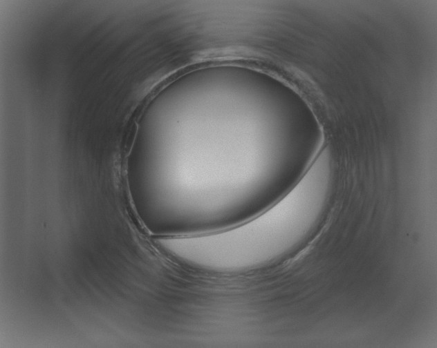X0000073481457200607310838