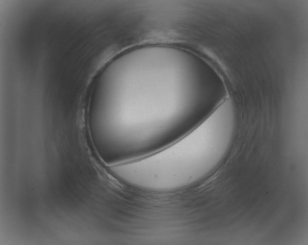 X0000073481459200607310838