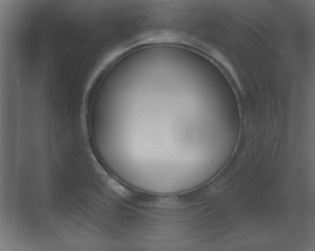 X0000073481464200607310838