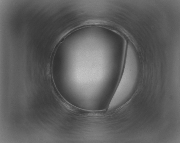 X0000073481465200607310838