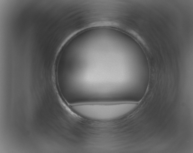 X0000073481468200607310838