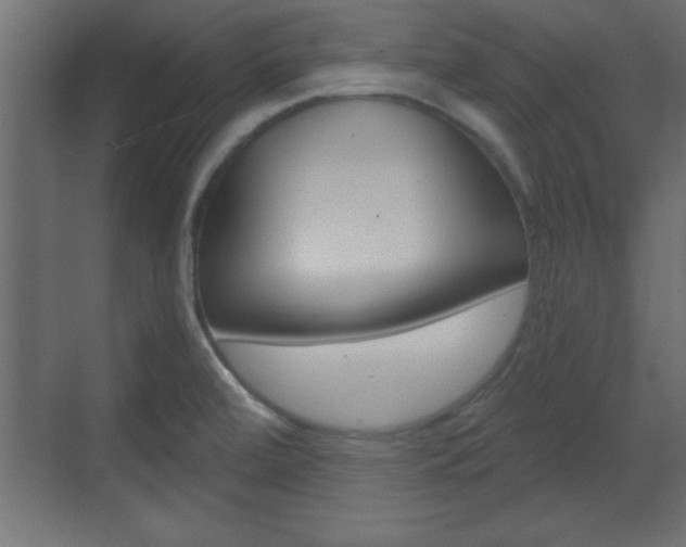 X0000073481472200607310838