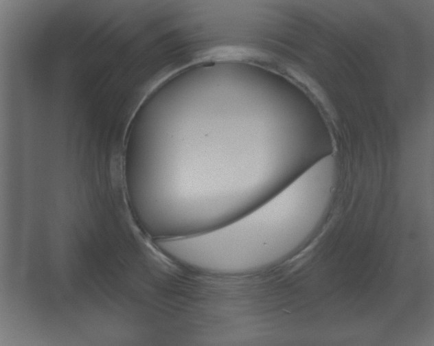 X0000073481473200607310838