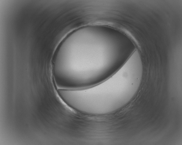 X0000073481476200607310838