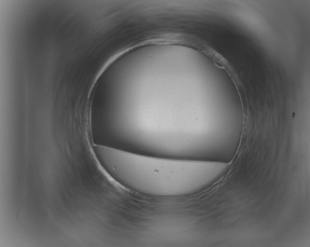 X0000073481487200607310838