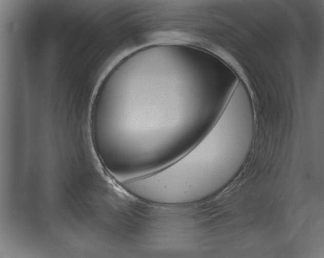 X0000073481488200607310838