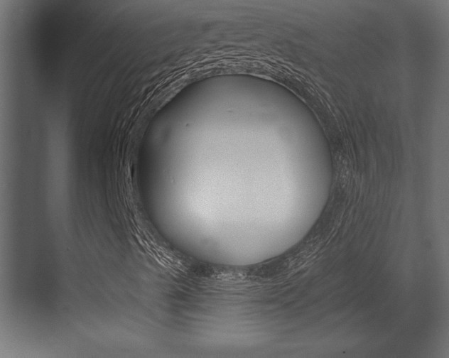 X0000073481489200607310837