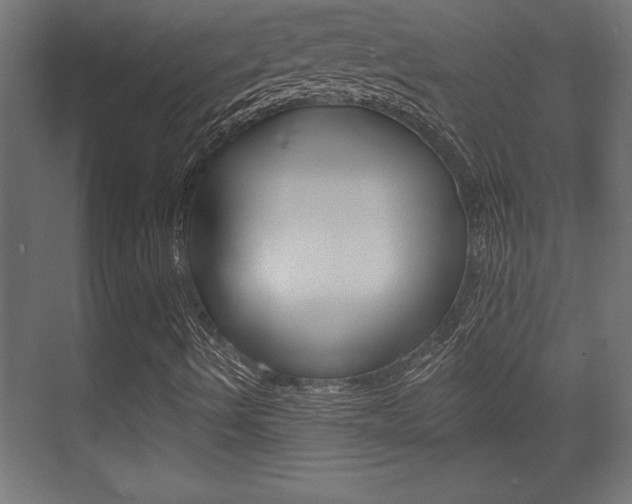 X0000073481490200607310837