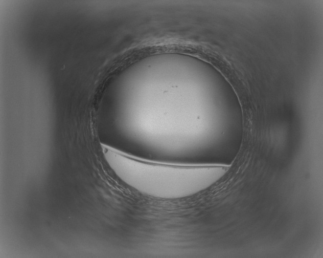 X0000073481493200607310837