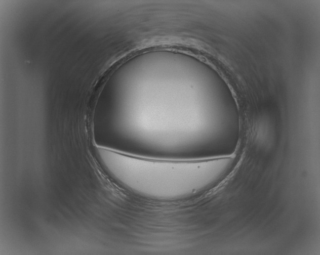 X0000073481497200607310837