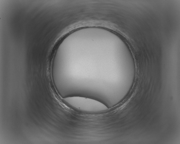X0000073481498200607310837