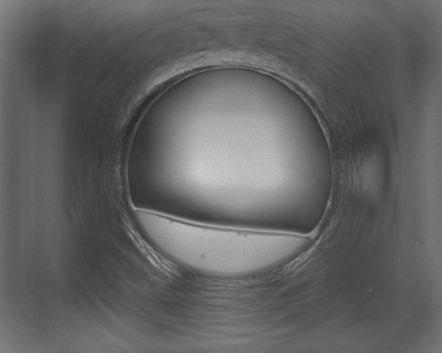 X0000073481499200607310837