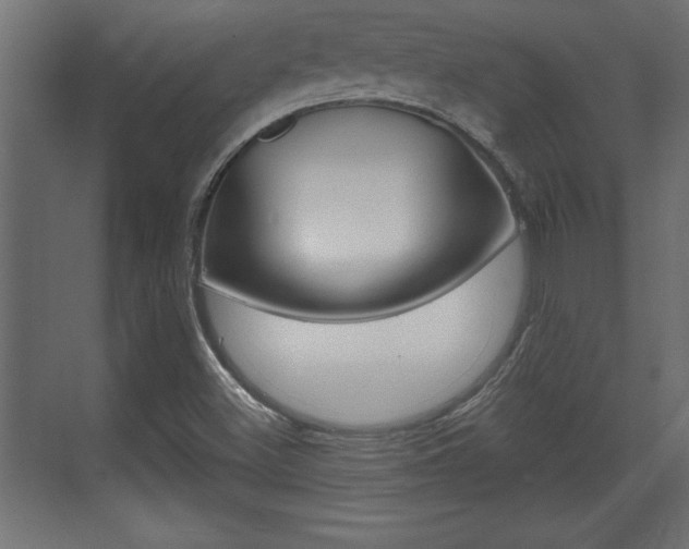 X0000073481500200607310837