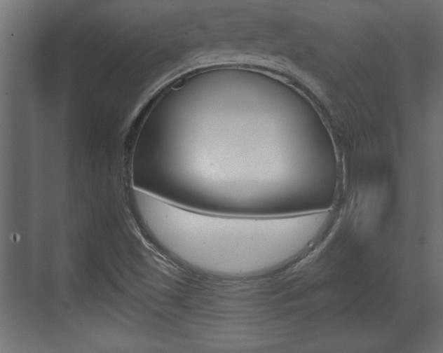 X0000073481501200607310837