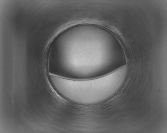X0000073481504200607310837