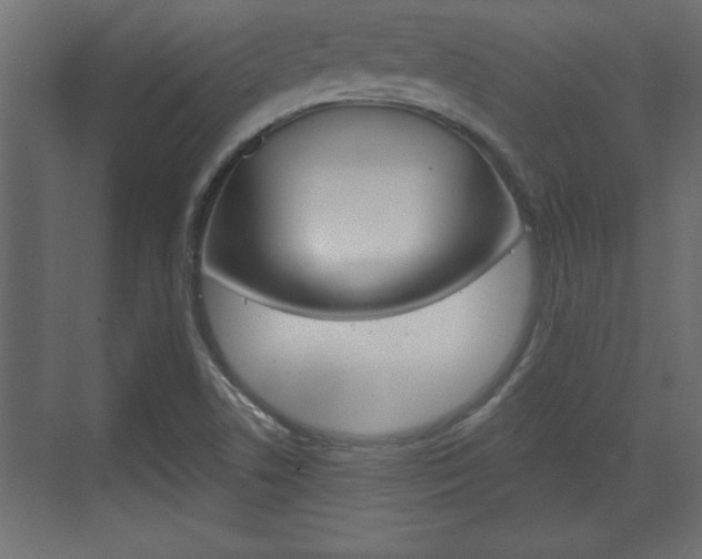 X0000073481506200607310837