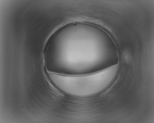 X0000073481509200607310837