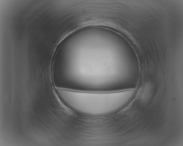 X0000073481513200607310838