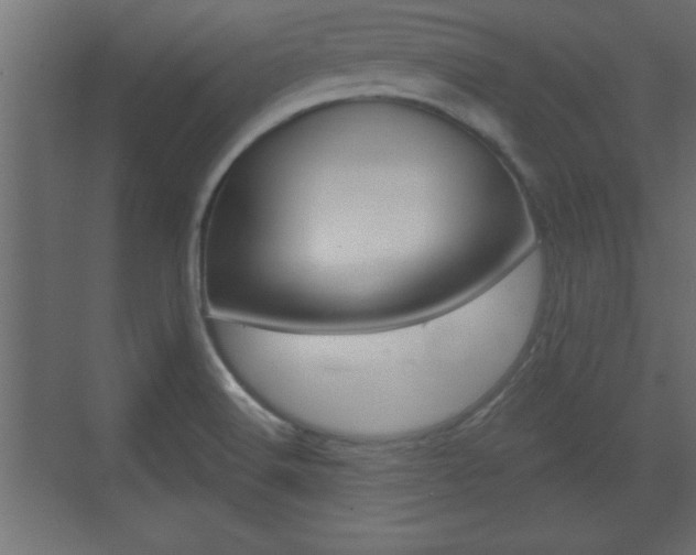 X0000073481516200607310838