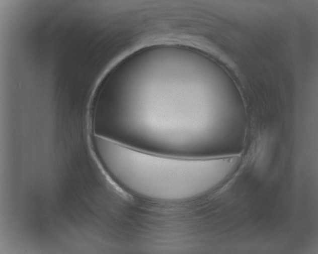 X0000073481517200607310838