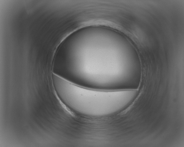 X0000073481521200607310838