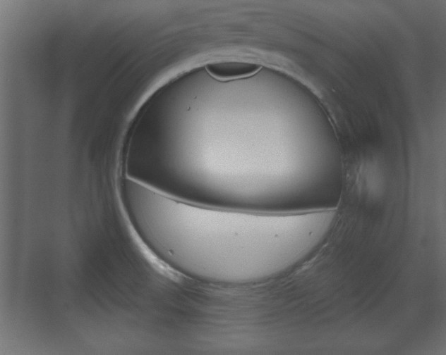 X0000073481523200607310838