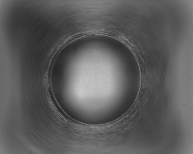 X0000073480002200607311212