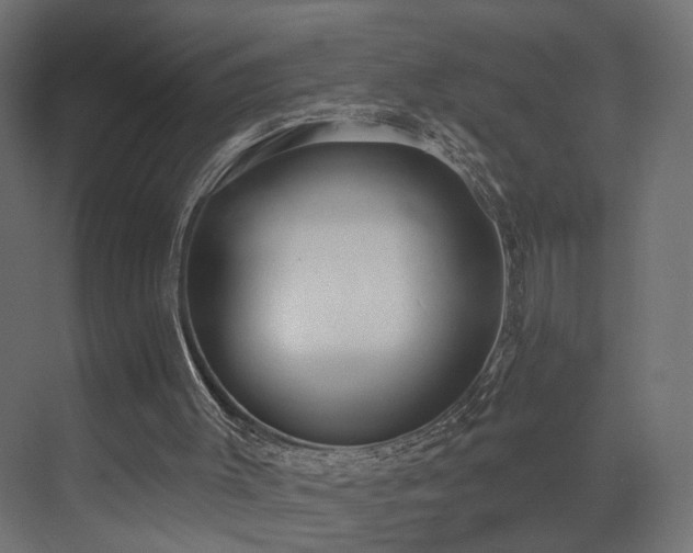 X0000073480003200607311212