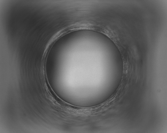 X0000073480004200607311212