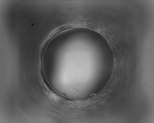 X0000073480005200607311212