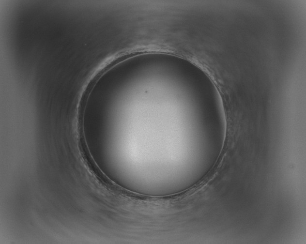 X0000073480008200607311212