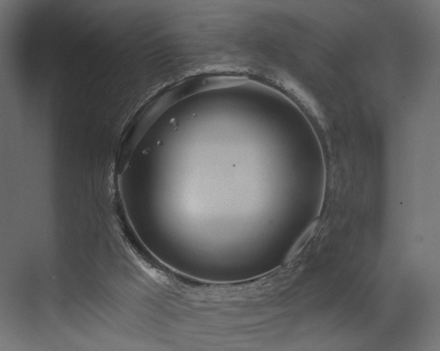 X0000073480009200607311212