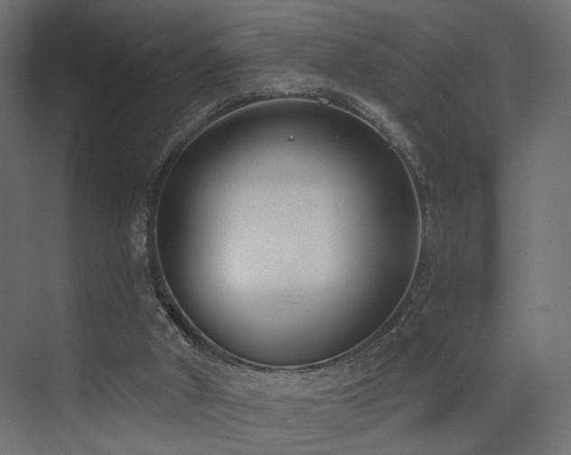 X0000073480010200607311212