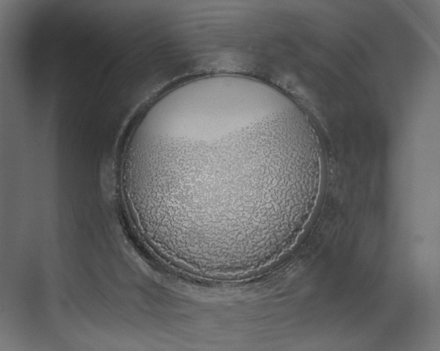 X0000073480012200607311212