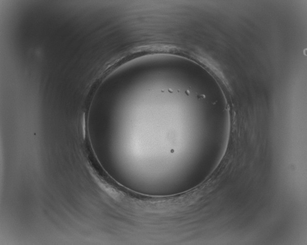 X0000073480013200607311212