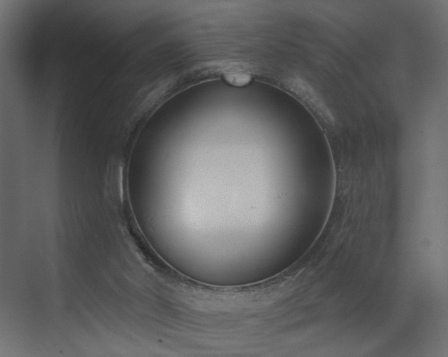 X0000073480014200607311212