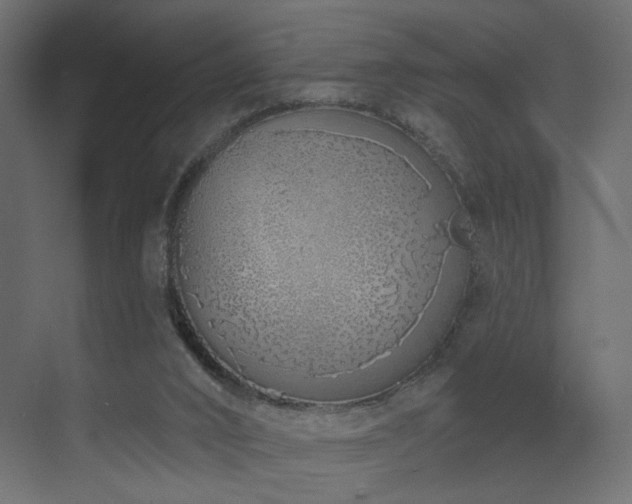 X0000073480016200607311212