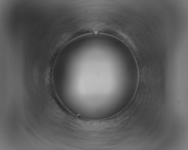 X0000073480018200607311212