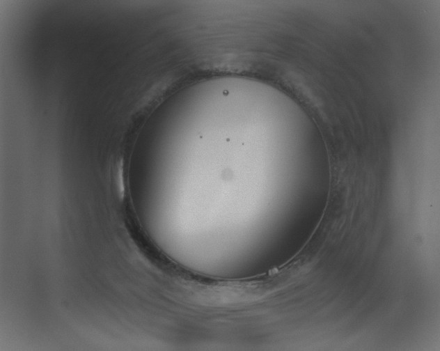 X0000073480020200607311212