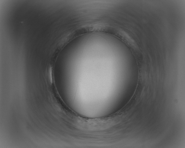 X0000073480022200607311212