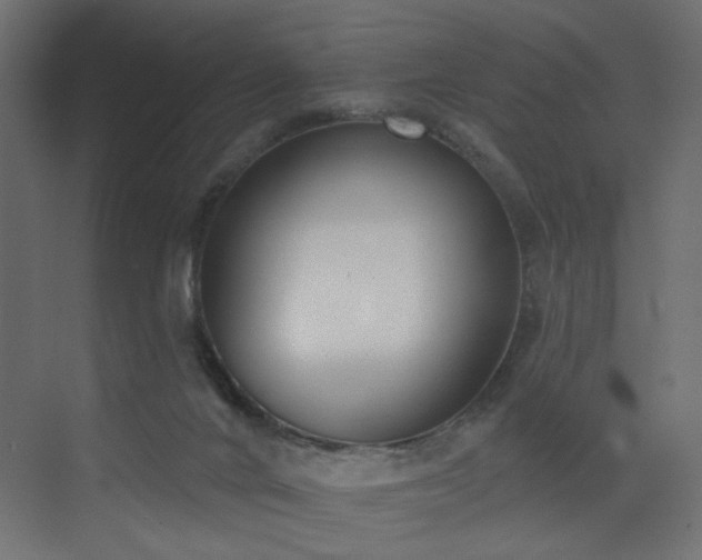 X0000073480024200607311212