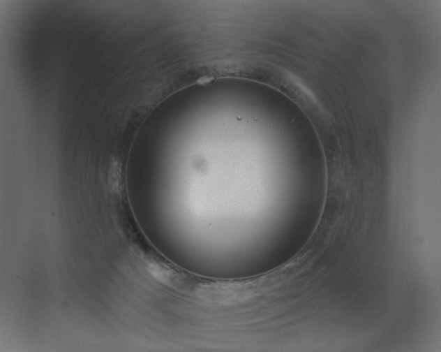 X0000073480025200607311212