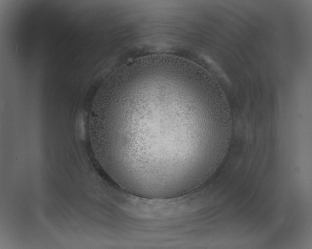 X0000073480026200607311212