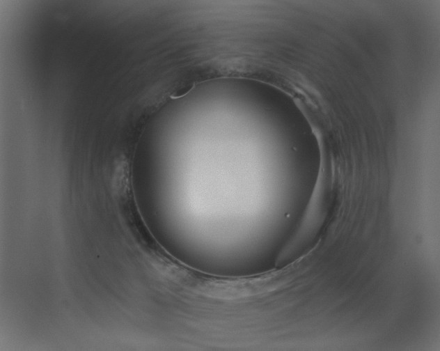 X0000073480029200607311212