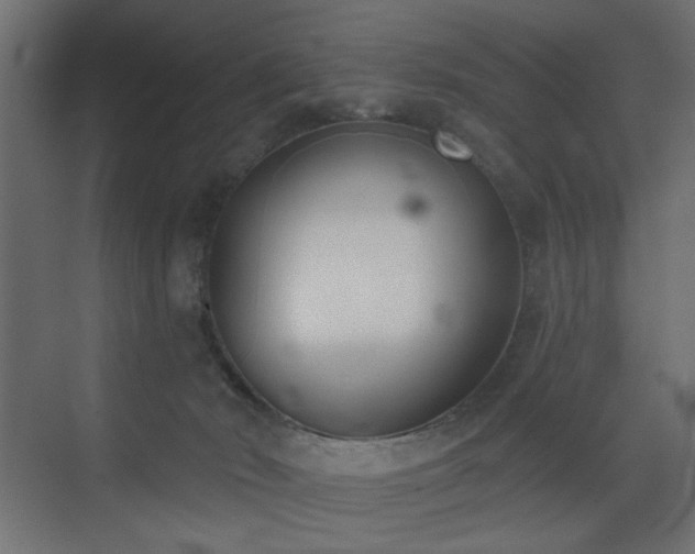 X0000073480030200607311212