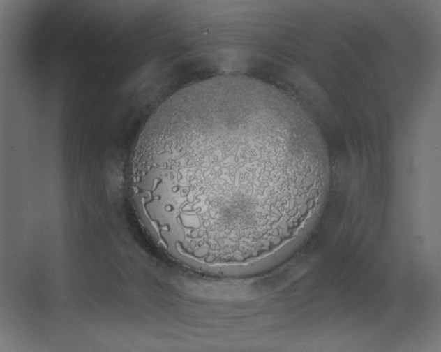 X0000073480032200607311212