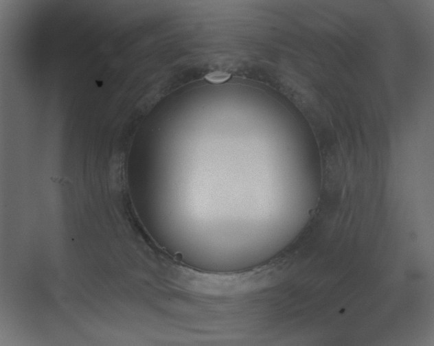 X0000073480034200607311212