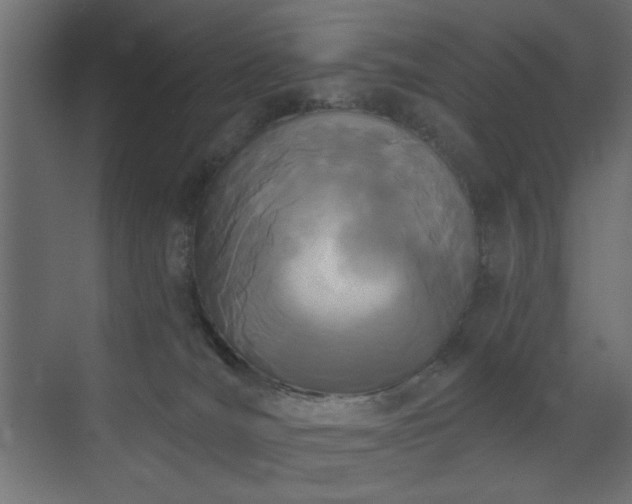 X0000073480036200607311212