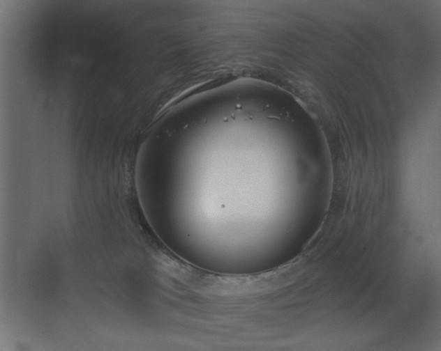 X0000073480037200607311212