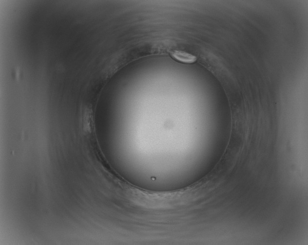 X0000073480038200607311212